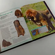 Книга "Собаки" — книга для мужчины в подарок — фотография 5
