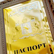 Обложка на паспорт из кожи «Герб Свердловской области» — необычный подарок — фотография 3